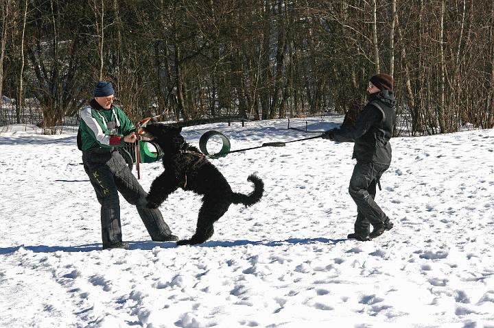 Pureskeluja 008.jpg